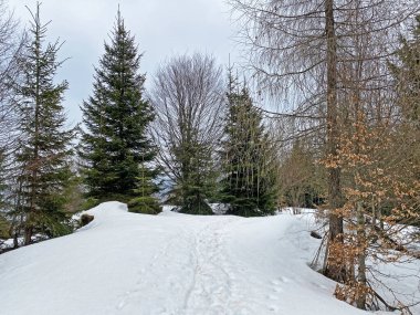 Wagitalersee (veya Waegitalersee), İsviçre (Schweiz)