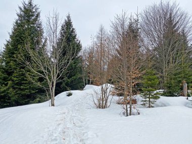 Wagitalersee (veya Waegitalersee), İsviçre (Schweiz)