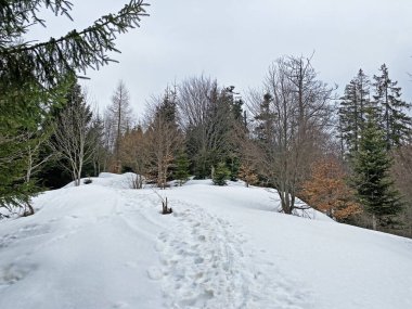Wagitalersee (veya Waegitalersee), İsviçre (Schweiz)