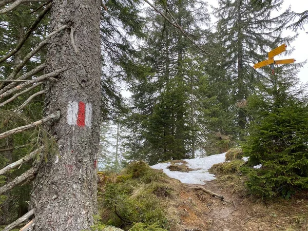 Marquages Pédestres Panneaux Orientation Avec Panneaux Navigation Dans Vallée Wagital — Photo