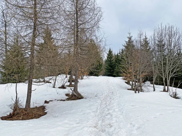 Wagitalersee (veya Waegitalersee), İsviçre (Schweiz)