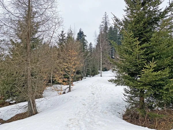 Wagitalersee (veya Waegitalersee), İsviçre (Schweiz)