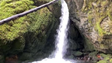 Aberenbach deresi veya Alpine Gölü yakınlarındaki Aberenbachfall şelalesi (Waegitalersee), Innerthal - Schwyz Kantonu, İsviçre (Schweiz)