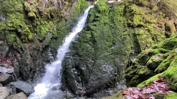 Una Cascata Sotto Una Grotta Sorgente Hundsloch Hundslochquelle Hundlochquelle Presso — Video Stock