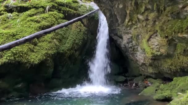 アバレンバッハの滝またはアバレンバッハの滝スイス シュヴィーツ州 シュヴィーツ州 のインナータール州 ワギタリテルゼー湖 Waegitalersee 付近の滝 — ストック動画