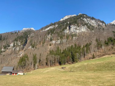 Klontal dağ vadisi çevresindeki dağlık yamaçlarda (Kloental veya Klon vadisi) karışık subalp ormanları ve çeşitli ağaçlar (İsviçre / Schweiz)