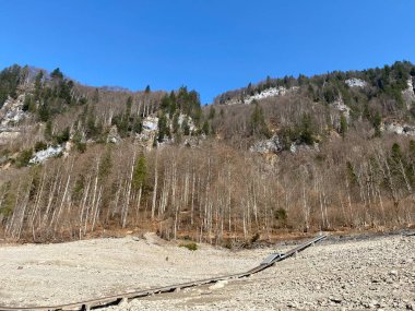 Klontal dağ vadisi çevresindeki dağlık yamaçlarda (Kloental veya Klon vadisi) karışık subalp ormanları ve çeşitli ağaçlar (İsviçre / Schweiz)
