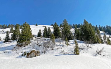 Lontsch (ya da Loentsch) ve Lontschtobel (ya da Loentschtobel) kanyonu üzerinde, Klontalersee (Kloentalersee ya da Klontaler Gölü) dağ eteklerinin eteklerinde bulunan eski taş köprü.)
