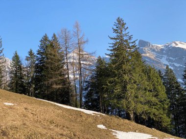 Lontsch (ya da Loentsch) ve Lontschtobel (ya da Loentschtobel) kanyonu üzerinde, Klontalersee (Kloentalersee ya da Klontaler Gölü) dağ eteklerinin eteklerinde bulunan eski taş köprü.)