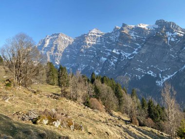 Klontal dağ vadisi çevresindeki dağlık yamaçlarda (Kloental veya Klon vadisi) karışık subalp ormanları ve çeşitli ağaçlar (Schweiz)