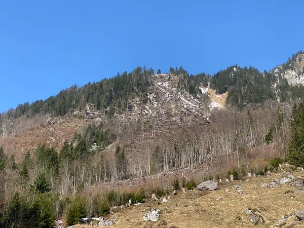 亜高山の森とKlontal山の谷の周りの高山の山の斜面に早春の様々な木々が混在 クロエンタルまたはKlon谷 グラス スイス スイスのカントン — ストック写真