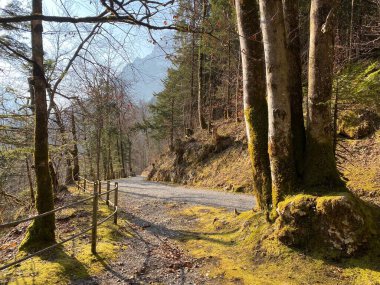Klontalersee gölünde (Kloentalersee veya Klontaler Gölü) ve Klontal (veya Kloental) Alp Vadisi 'nin yamaçlarında yürüyüş, yürüyüş, spor ve dinlenme yolları - Glarus Kantonu, İsviçre / Schweiz