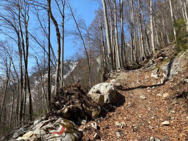 Klontalersee gölünde (Kloentalersee veya Klontaler Gölü) ve Klontal (veya Kloental) Alp Vadisi 'nin yamaçlarında yürüyüş, yürüyüş, spor ve dinlenme yolları - Glarus Kantonu, İsviçre / Schweiz