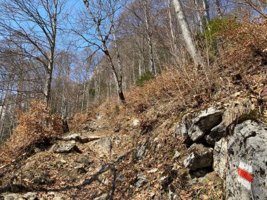 Klontalersee Baraj Gölü (Kloentalersee veya Klontaler Gölü) ve Klontal Alp Vadisi yamaçlarında (veya Kloental) - Glarus Kantonu, İsviçre / Schweiz