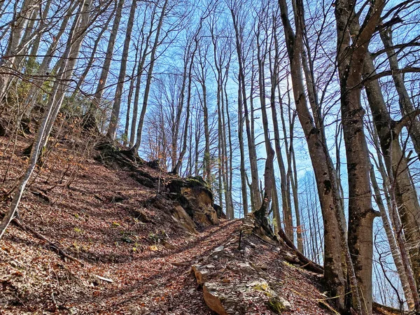 Trails Walking Hiking Sports Recreation Klontalersee Reservoir Lake Kloentalersee Klontaler — Stock Photo, Image