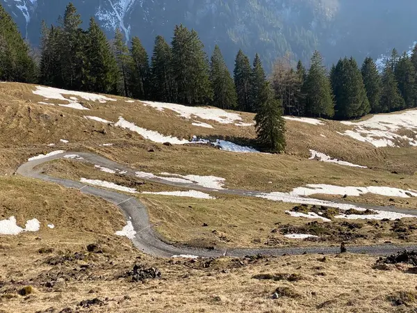 Sentiers Randonnées Pédestres Sportives Récréatives Autour Lac Réservoir Klontalersee Lac — Photo