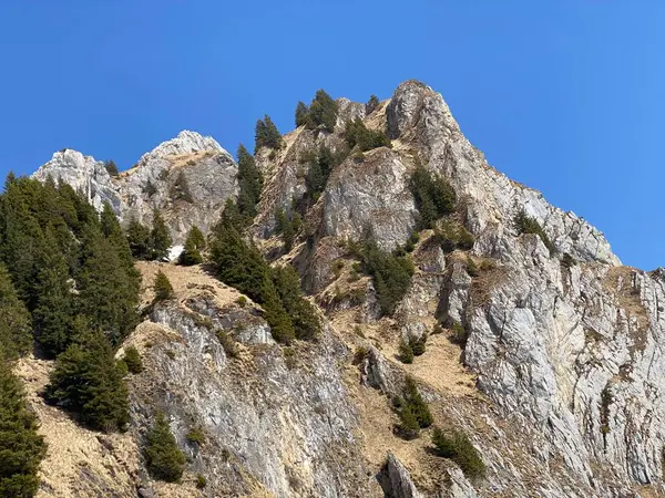 Pico Rochoso Dejenstogg Dejenstock 2022 Cordilheira Dos Alpes Glarus Sobre — Fotografia de Stock