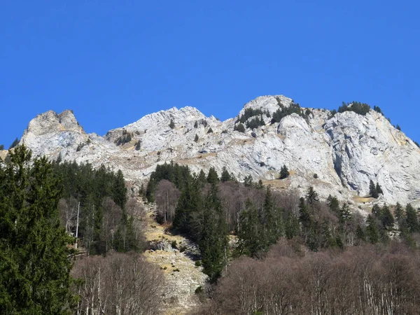 Pico Rochoso Dejenstogg Dejenstock 2022 Cordilheira Dos Alpes Glarus Sobre — Fotografia de Stock