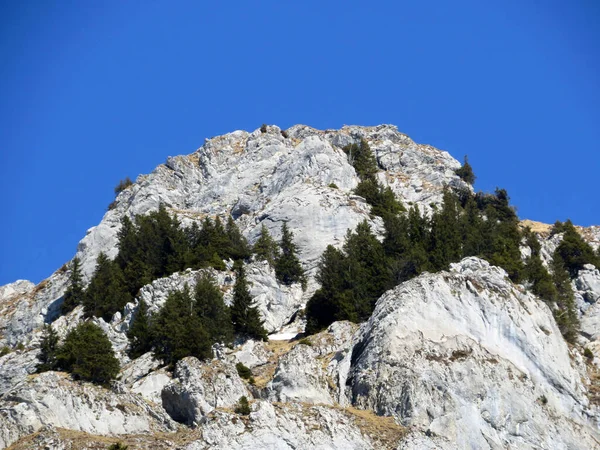 Skalnatý Vrchol Dejenstogg Nebo Dejenstock 2022 Pohoří Glarus Alpy Nad — Stock fotografie