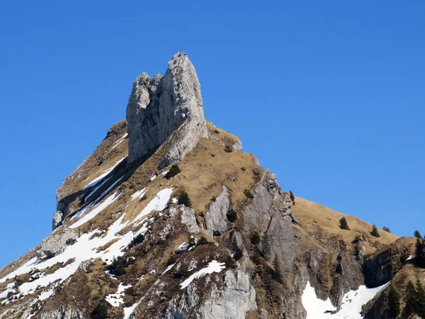 Skalnatý Vrchol Dejenstogg Nebo Dejenstock 2022 Pohoří Glarus Alpy Nad — Stock fotografie