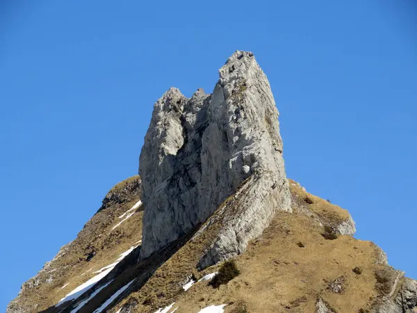 Rocky Peak Dejenstogg Dejenstock 2022 Glarus Alps Mountain Range Klontalersee — Stock Photo, Image