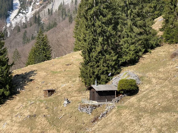 山岳小屋 シャレー または農家や古い木造の牛小屋Klontal またはKloental の高山渓谷とリセビア湖Klontalersee KloentalerseeまたはKlontaler湖 グラス スイス スイスのカントン — ストック写真