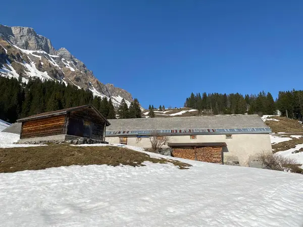 Berghütten Chalets Oder Bauernhäuser Und Alte Hölzerne Rinderhäuser Klontal Oder — Stockfoto