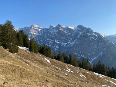 Klontal dağ vadisi (Kloental veya Klon vadisi) çevresindeki dağlık dağların yamaçlarında bulunan Evergreen ormanı veya kozalaklı ağaçlar - Glarus Kantonu, İsviçre / Schweiz