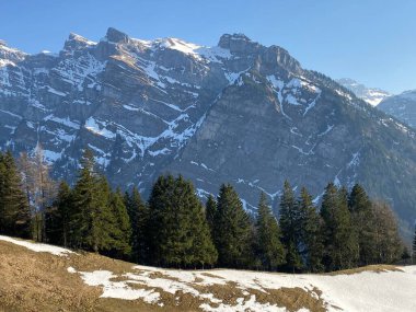 Klontal dağ vadisi (Kloental veya Klon vadisi) çevresindeki dağlık dağların yamaçlarında bulunan Evergreen ormanı veya kozalaklı ağaçlar - Glarus Kantonu, İsviçre / Schweiz