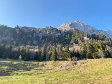 Klontal dağ vadisi (Kloental veya Klon vadisi) çevresindeki dağlık dağların yamaçlarında bulunan Evergreen ormanı veya kozalaklı ağaçlar - Glarus Kantonu, İsviçre / Schweiz