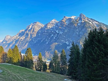 Klontal dağ vadisi (Kloental veya Klon vadisi) çevresindeki dağlık dağların yamaçlarında bulunan Evergreen ormanı veya kozalaklı ağaçlar - Glarus Kantonu, İsviçre / Schweiz