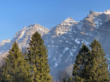 Klontal dağ vadisi (Kloental veya Klon vadisi) çevresindeki dağlık dağların yamaçlarında bulunan Evergreen ormanı veya kozalaklı ağaçlar - Glarus Kantonu, İsviçre / Schweiz