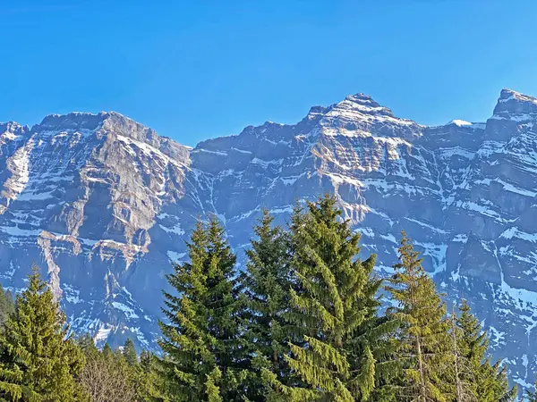 Immergrüne Wälder Oder Nadelbäume Zeitigen Frühling Den Hängen Der Alpinen — Stockfoto