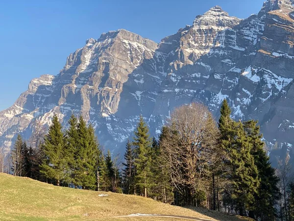 Klontal dağ vadisi (Kloental veya Klon vadisi) çevresindeki dağlık dağların yamaçlarında bulunan Evergreen ormanı veya kozalaklı ağaçlar - Glarus Kantonu, İsviçre / Schweiz