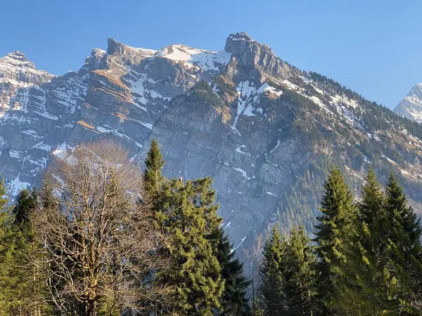 Klontal山の谷の周りの高山の斜面に早春の常緑の森や針葉樹の木 クローナルまたはKlon谷 カントン グラス スイス スイス — ストック写真