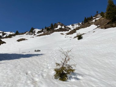 Eriyen kar örtüsü ve erken bahar atmosferi Alp Dağları 'nın Glarus Kantonu, İsviçre / Schweiz' in buzlu tepelerinde ve alp vadilerinde