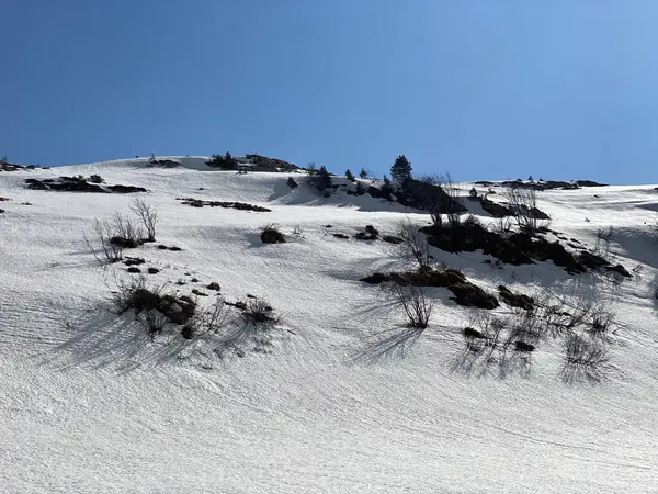 Cobertura Neve Derretida Ambiente Início Primavera Nos Vales Alpinos Picos — Fotografia de Stock