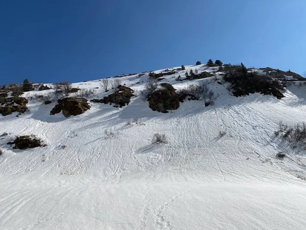 高山の谷と氷河のピークで融雪雪雪カバーと早春の雰囲気 アルプスの山塊 グラスのカントン スイス スイス — ストック写真