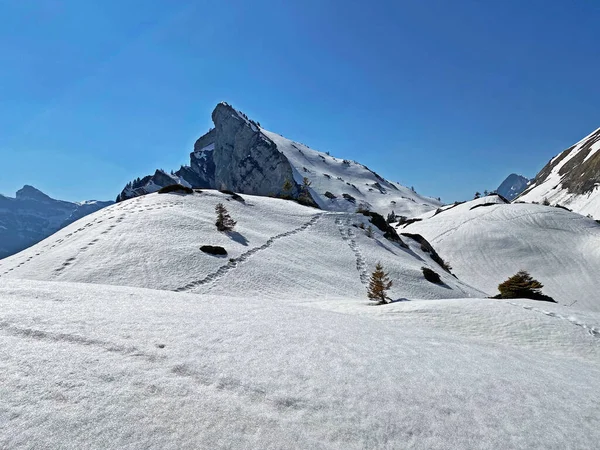 Maravillosas Rutas Senderismo Invierno Rastros Los Valles Alpinos Picos Helados —  Fotos de Stock