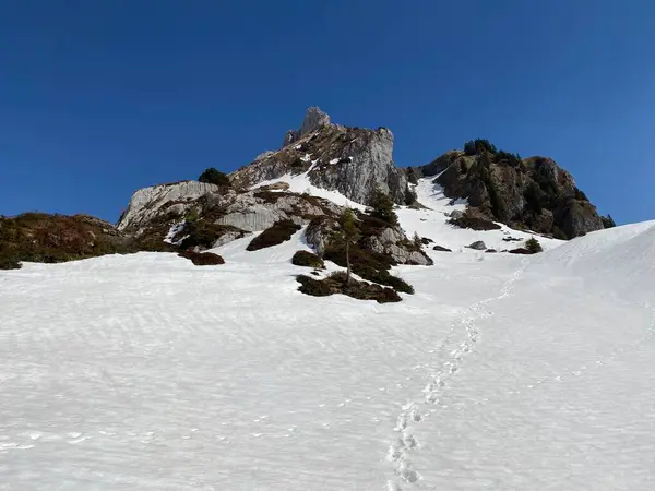 素晴らしい冬のハイキングコースと高山の谷や氷河のピークでの痕跡グラスアルプスの山塊 スイスのグラスのカントン スイス — ストック写真