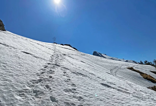 在瑞士Glarus州Glarus高山地块的高山山谷和冰峰上的冬季远足小径和小径 施韦兹 — 图库照片
