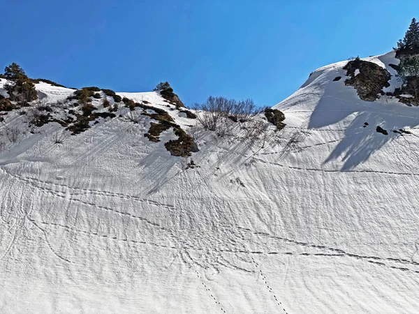Meravigliosi Sentieri Escursionistici Invernali Tracce Nelle Valli Alpine Cime Ghiacciate — Foto Stock