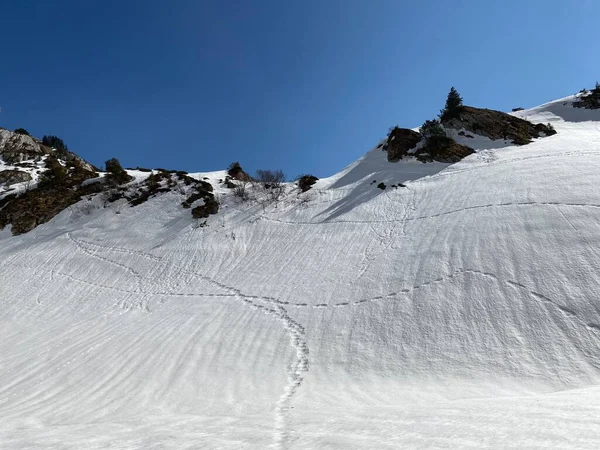 Maravillosas Rutas Senderismo Invierno Rastros Los Valles Alpinos Picos Helados —  Fotos de Stock