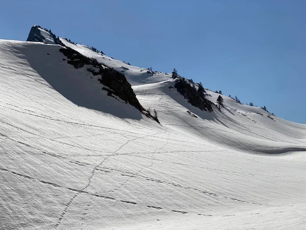 Maravillosas Rutas Senderismo Invierno Rastros Los Valles Alpinos Picos Helados — Foto de Stock