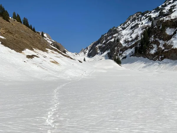 Wspaniałe Zimowe Szlaki Turystyczne Szlaki Alpejskich Dolinach Lodowych Szczytach Masywu — Zdjęcie stockowe