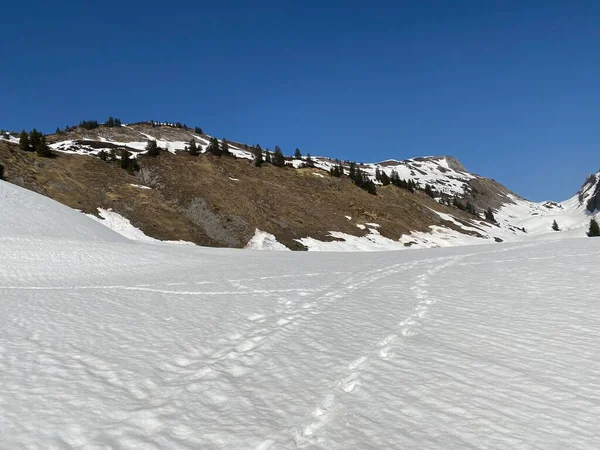 Prachtige Winterwandelwegen Sporen Alpiene Dalen Ijzige Bergtoppen Van Het Bergmassief — Stockfoto