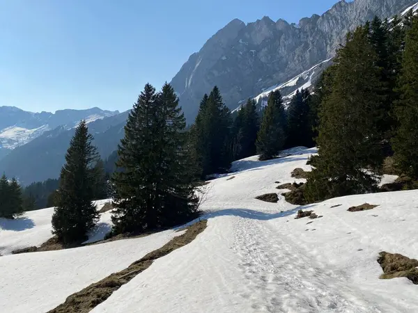 Wspaniałe Zimowe Szlaki Turystyczne Szlaki Alpejskich Dolinach Lodowych Szczytach Masywu — Zdjęcie stockowe