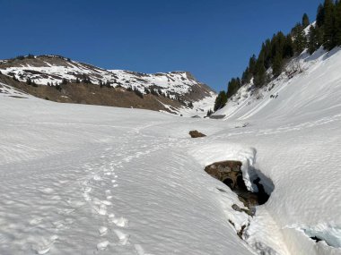 Glarus Alpleri dağ kütlesi İsviçre / Schweiz 'deki Kloentalersee Gölü (Kloentalersee veya Klontaler Gölü) üzerinde toplanan Sulzbach deresi boyunca eriyen karla ilkbahar atmosferi