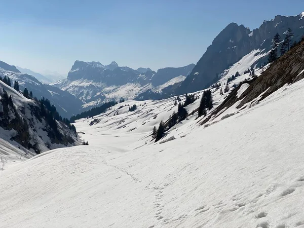 Eriyen Kar Örtüsü Alp Vadisi Ndeki Erken Bahar Atmosferi Lochboden — Stok fotoğraf