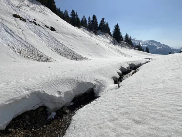 アルプスの大規模な山の中の堆積湖Klontalersee KloentalerseeまたはKlontaler湖 上の高山流Sulzbachに沿って融雪した雪と早春の雰囲気 スイス スイス — ストック写真